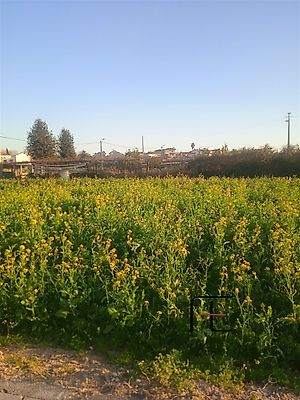 listing-picture-0