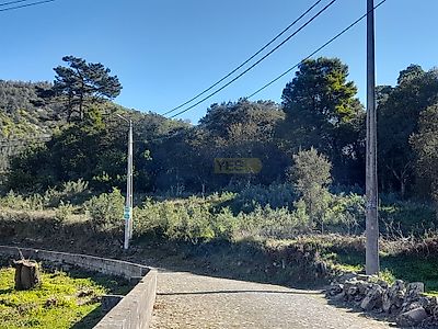 listing-picture-0
