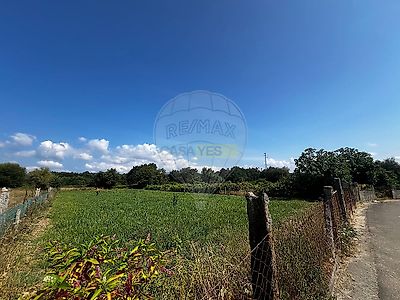 listing-picture-0