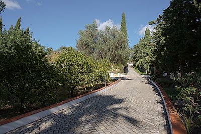 listing-picture-0