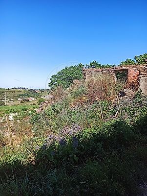 listing-picture-0