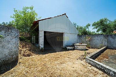 listing-picture-0