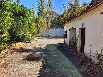 listing-picture-0