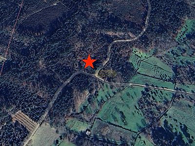 listing-picture-0