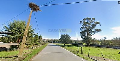 listing-picture-0