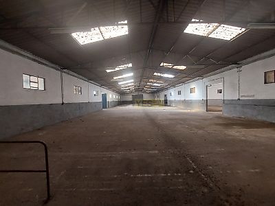 listing-picture-0