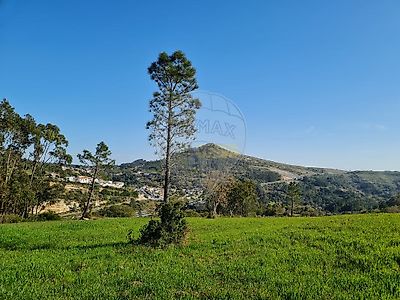 listing-picture-0