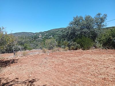 listing-picture-0