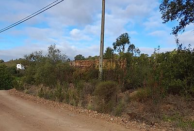 listing-picture-0