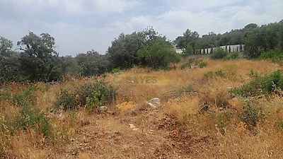 listing-picture-0