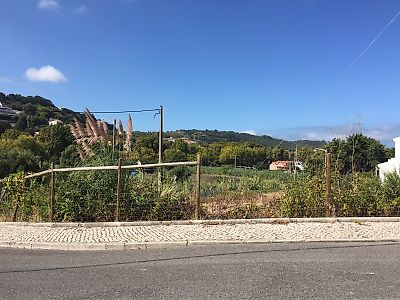 listing-picture-0