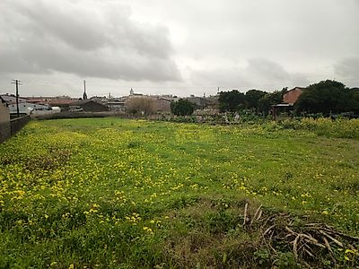 listing-picture-0