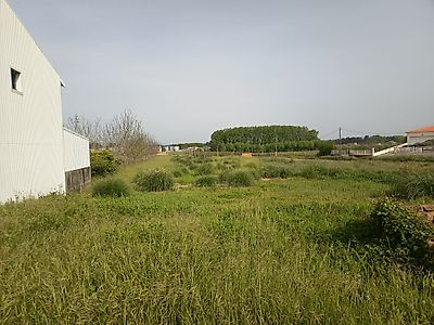 listing-picture-0