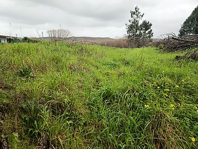 listing-picture-0