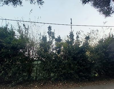 listing-picture-0