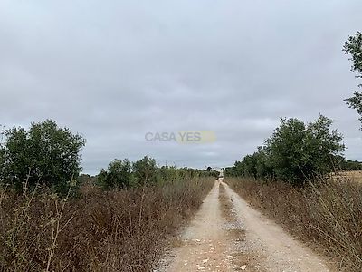 listing-picture-0