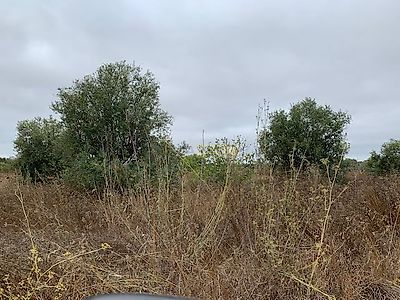 listing-picture-0