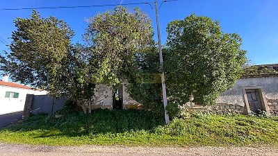 listing-picture-0