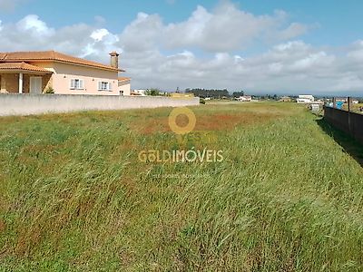 listing-picture-0