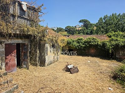 listing-picture-0
