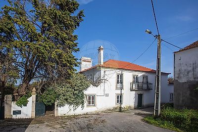 listing-picture-0