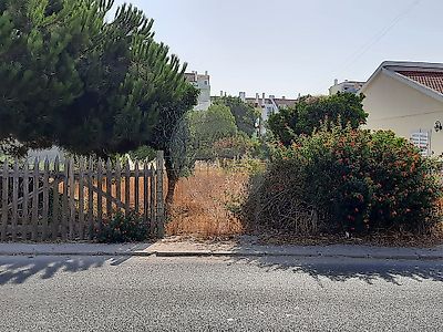 listing-picture-0