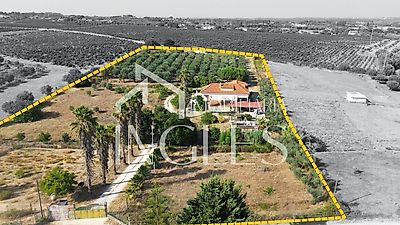 listing-picture-0