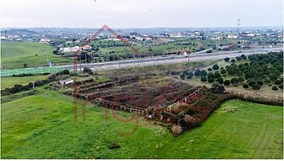 listing-picture-0