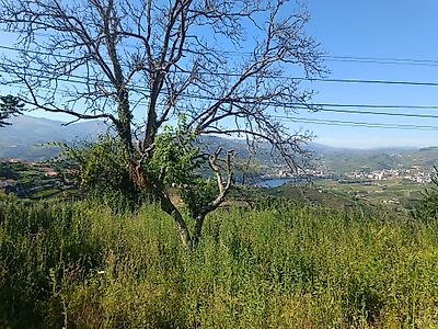 listing-picture-0