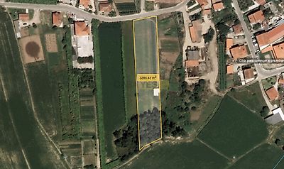 listing-picture-0