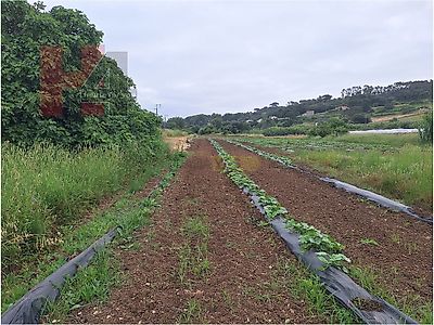 listing-picture-0