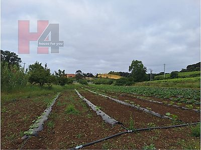 listing-picture-0