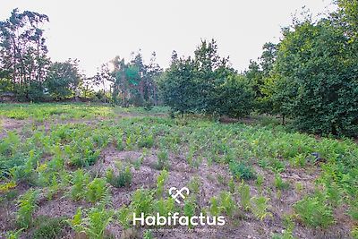 listing-picture-0