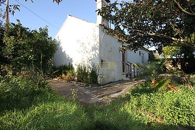 listing-picture-0