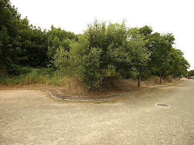 listing-picture-0