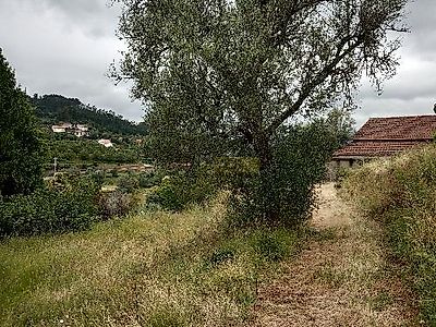 listing-picture-0