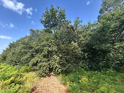 listing-picture-0