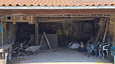 listing-picture-0