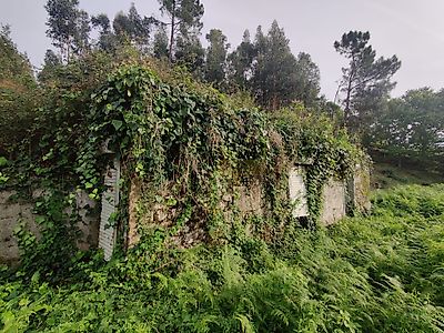 listing-picture-0