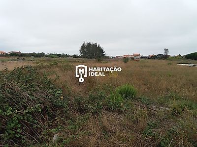 listing-picture-0