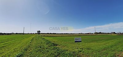 listing-picture-0