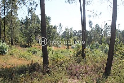 listing-picture-0