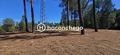 listing-picture-0