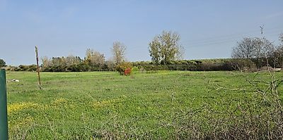listing-picture-0