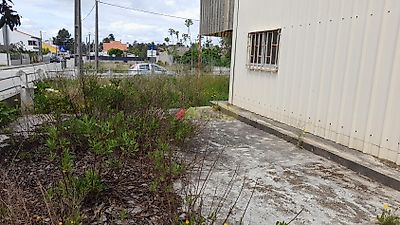 listing-picture-0