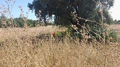 listing-picture-0
