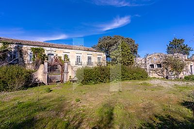 listing-picture-0