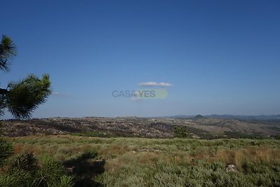listing-picture-0