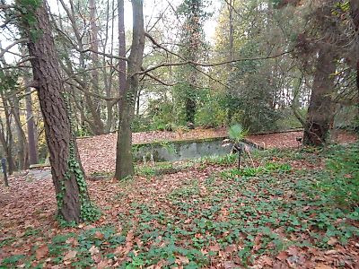 listing-picture-0