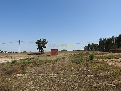 listing-picture-0
